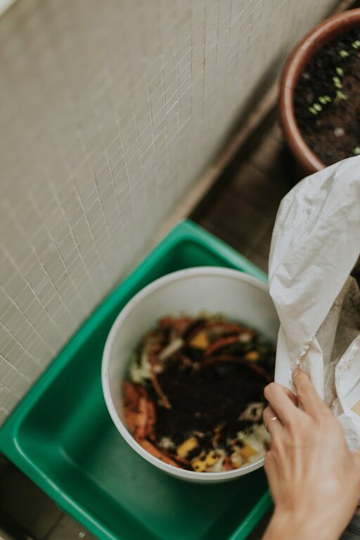 Simple Ways to Reduce Household Waste and Live More Sustainably